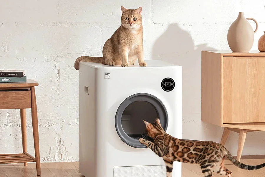 no smell litter box