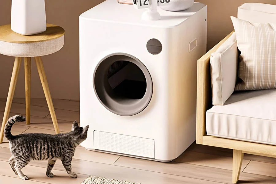 no smell litter box